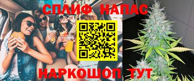 дмт Ставрополь