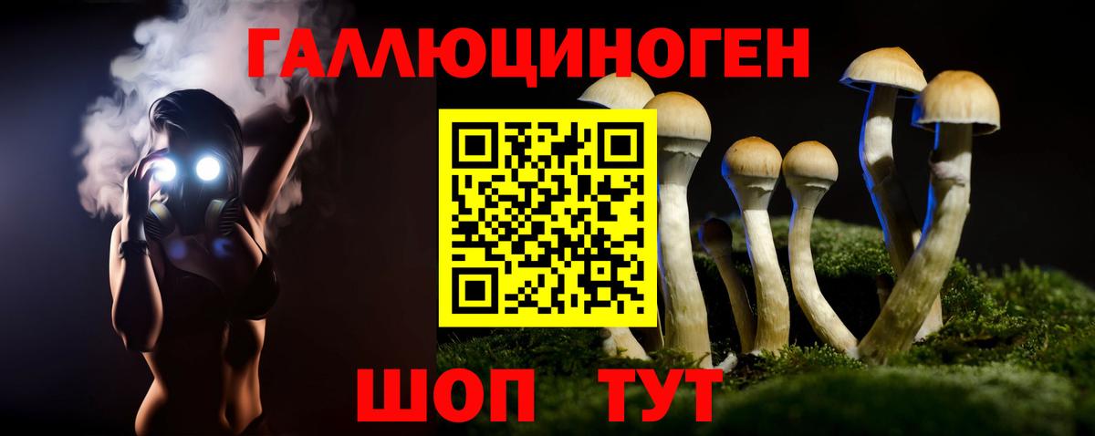 Ступино  Псилоцибиновые грибы MAGIC MUSHROOMS  Вход с VPN 